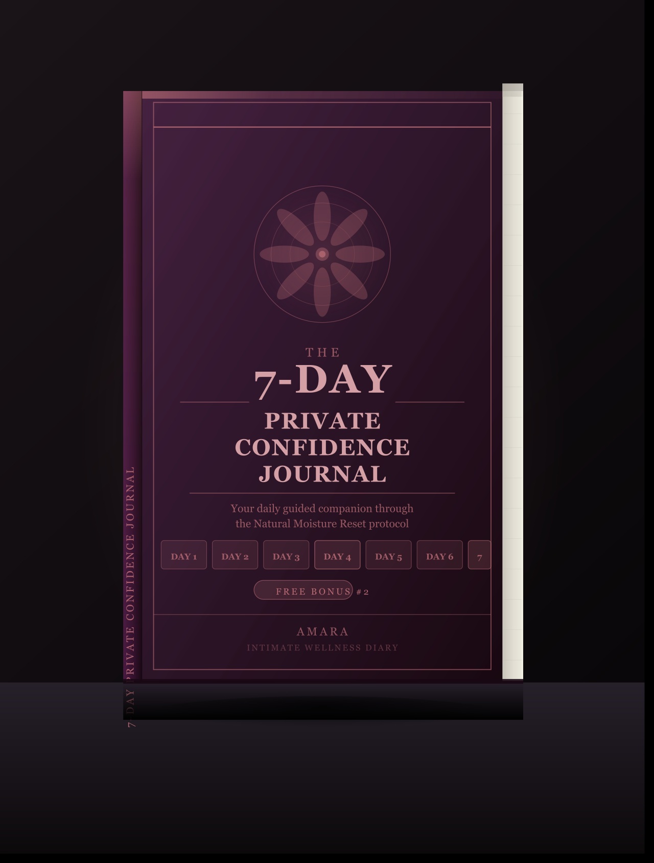 Bonus 2 — The 7-Day Private Confidence Journal